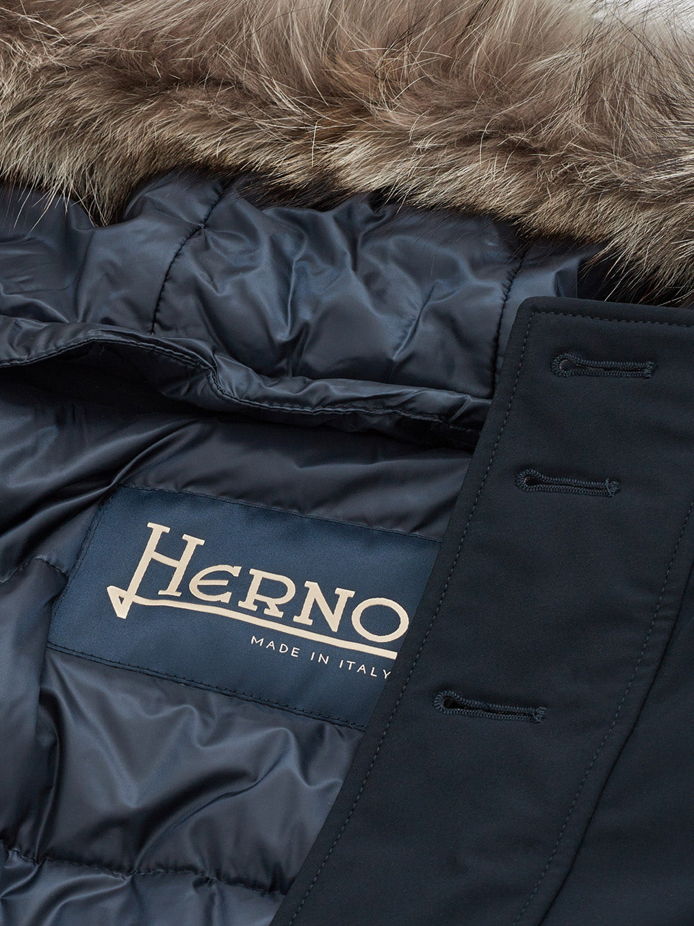 Padded Trench Coat in Herno Technical Fabric