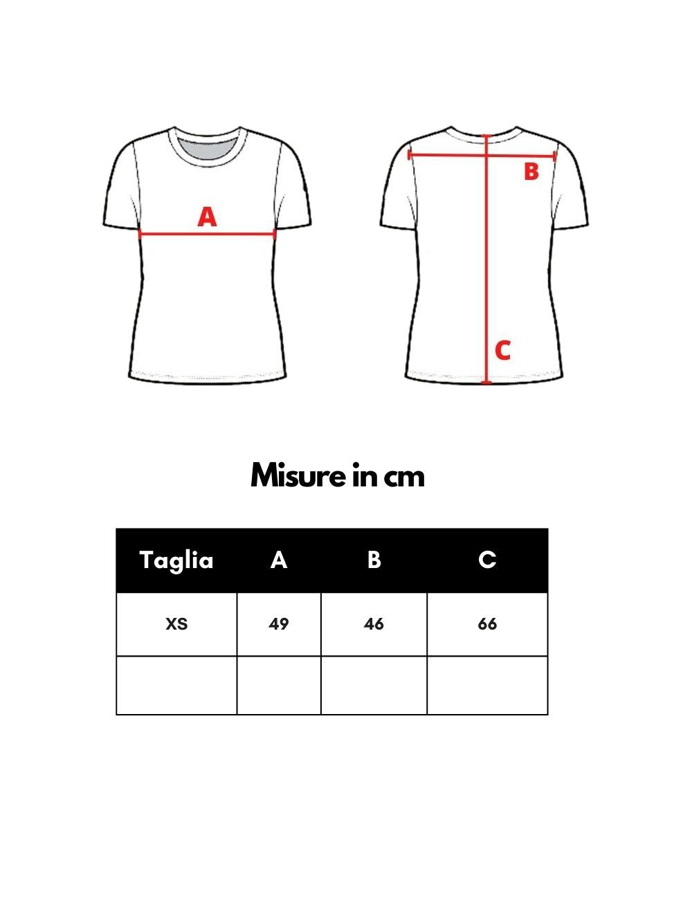 T-Shirt Grigio Mélange Dsquared2