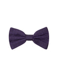 Papillon Viola in seta Dolce & Gabbana