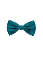 Papillon in Seta Dolce & Gabbana