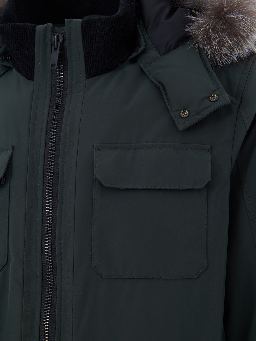 Giubbino Imbottito in Tessuto Tecnico Verde Moose Knuckles