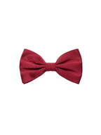 Papillon in Seta Dolce & Gabbana